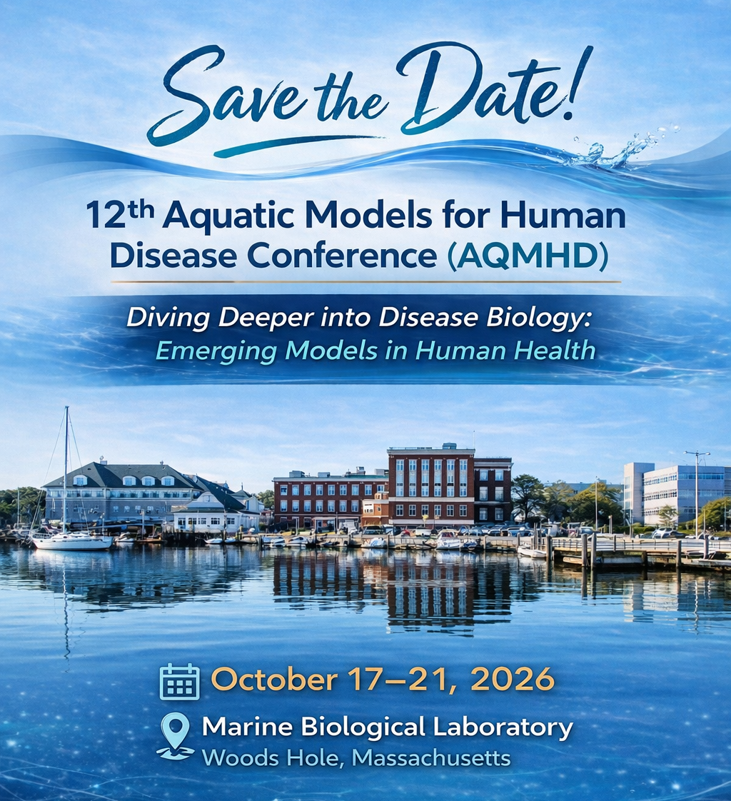 AQMHD 2026 Save the Date